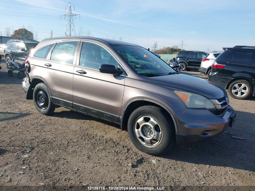 2010 Honda Cr-V Lx VIN: 5J6RE4H37AL099991 Lot: 12139778