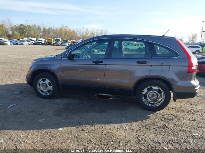 2010 Honda Cr-V Lx VIN: 5J6RE4H37AL099991 Lot: 12139778