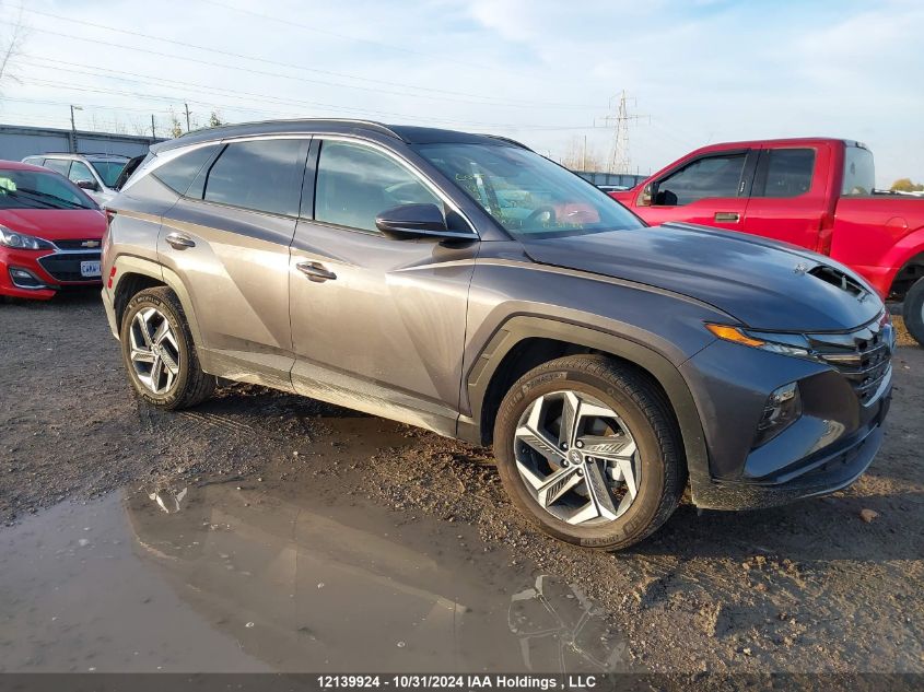 2024 Hyundai Tucson Luxury Awd VIN: KM8JCCD11RU232740 Lot: 12139924