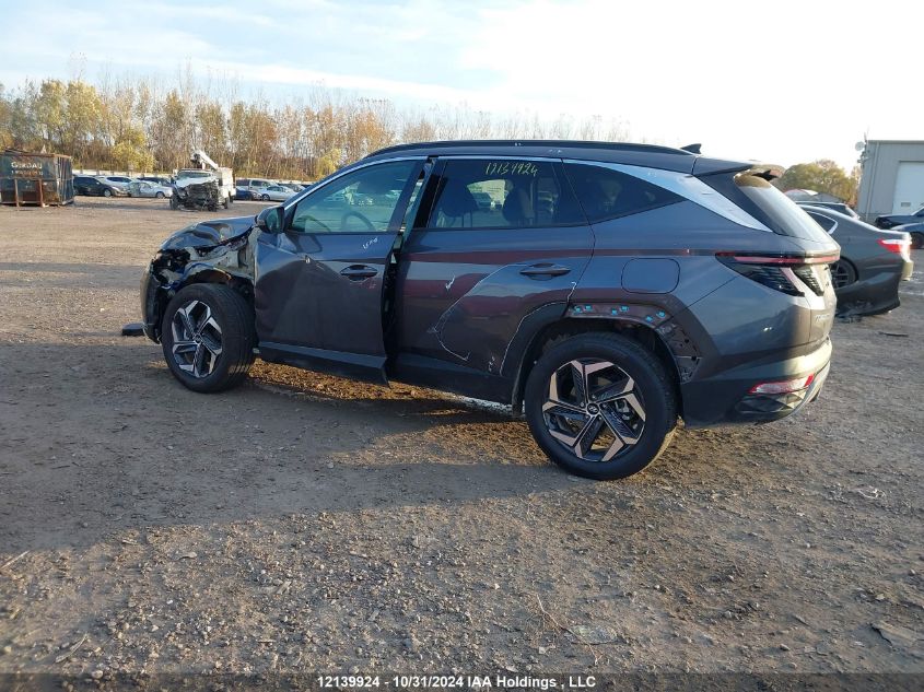 2024 Hyundai Tucson Luxury Awd VIN: KM8JCCD11RU232740 Lot: 12139924