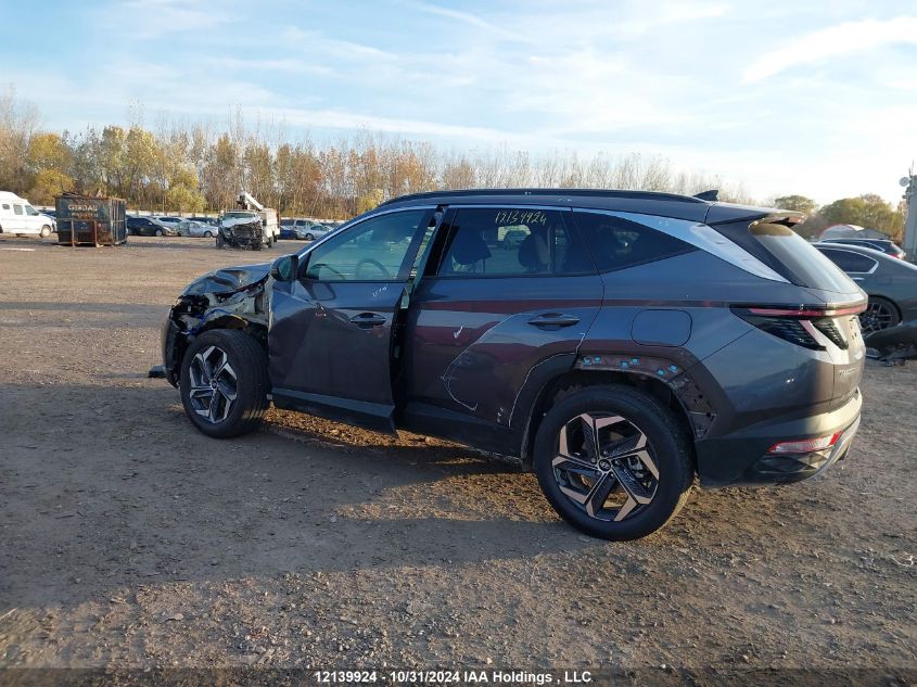 2024 Hyundai Tucson Luxury Awd VIN: KM8JCCD11RU232740 Lot: 12139924