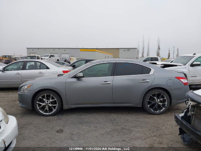 2009 Nissan Maxima S/Sv VIN: 1N4AA51E29C850951 Lot: 12139956