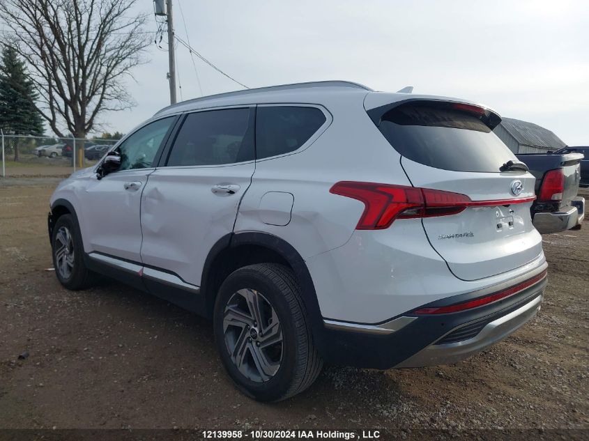 2023 Hyundai Santa Fe Sel Premium VIN: 5NMS3DAJ5PH623719 Lot: 12139958