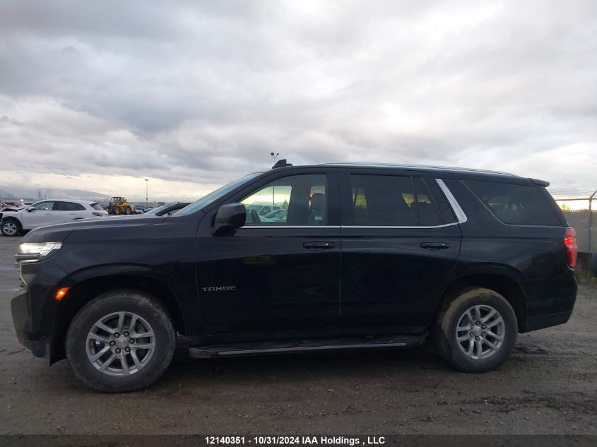 2023 Chevrolet Tahoe VIN: 1GNSKNKD2PR368726 Lot: 12140351