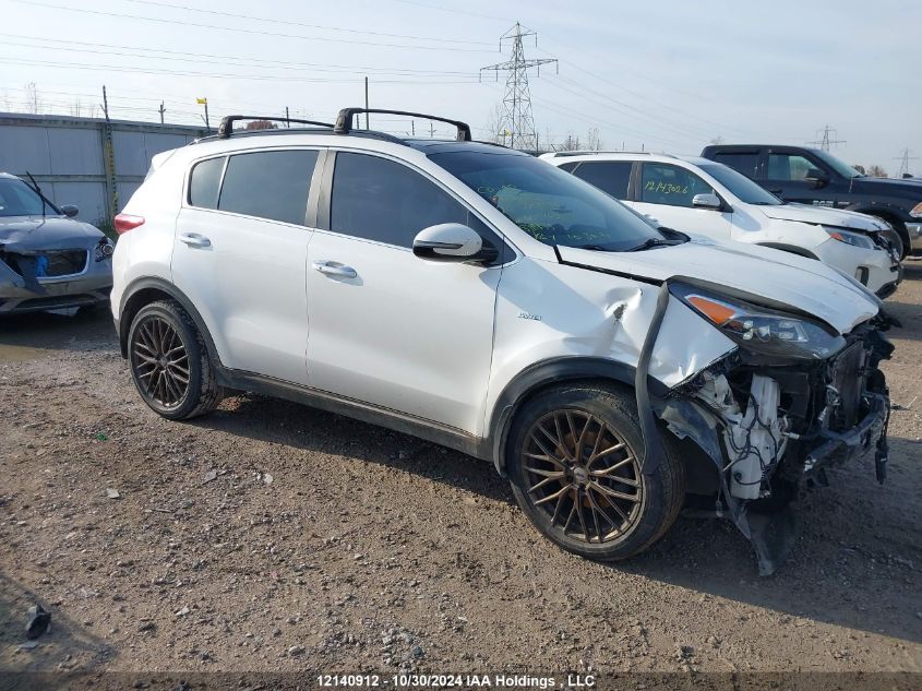 2020 Kia Sportage VIN: KNDPRCA62L7763075 Lot: 12140912