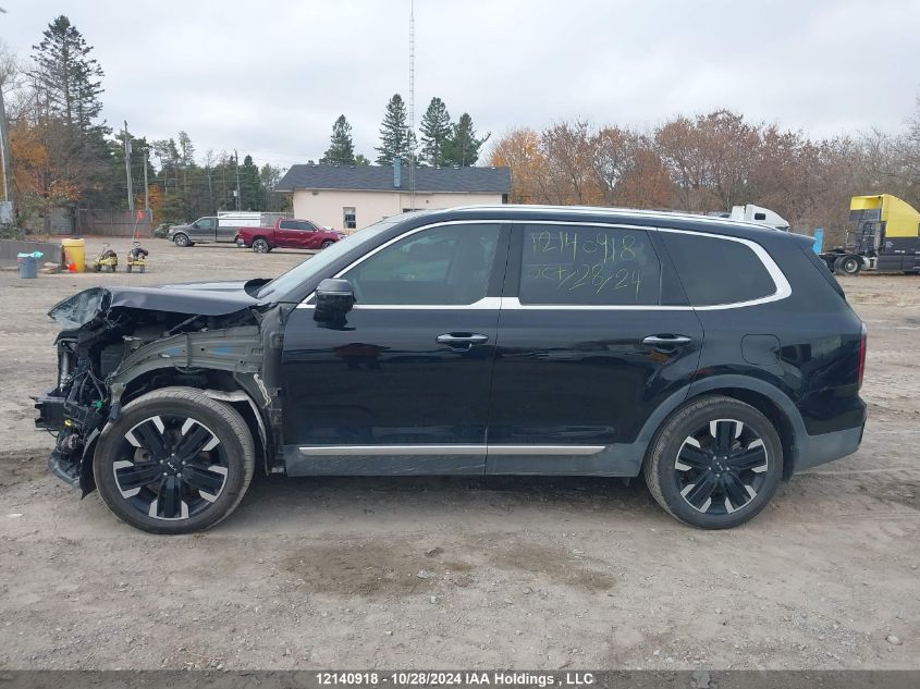 2024 Kia Telluride VIN: 5XYP5DGC6RG435054 Lot: 12140918