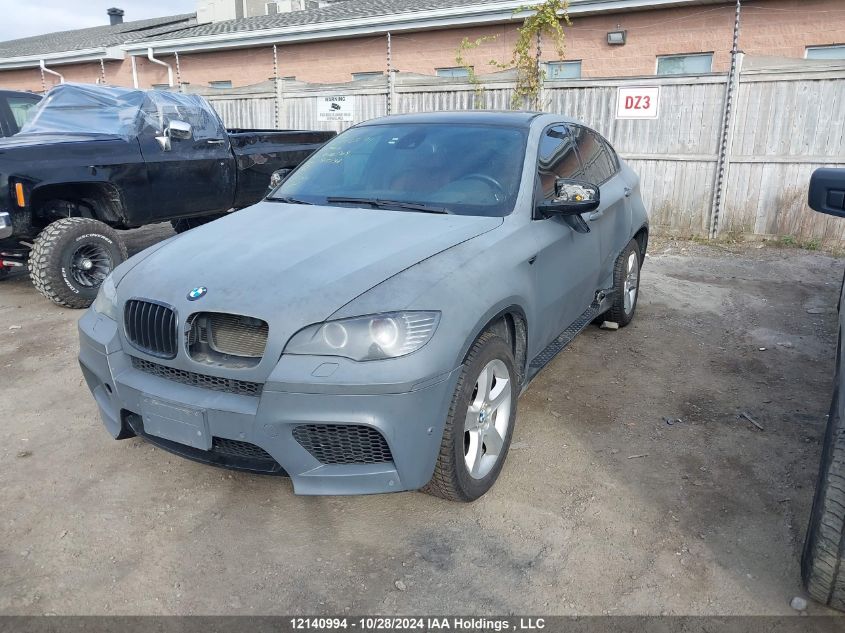 2011 BMW X6 VIN: 5UXFG2C56BLX08309 Lot: 12140994