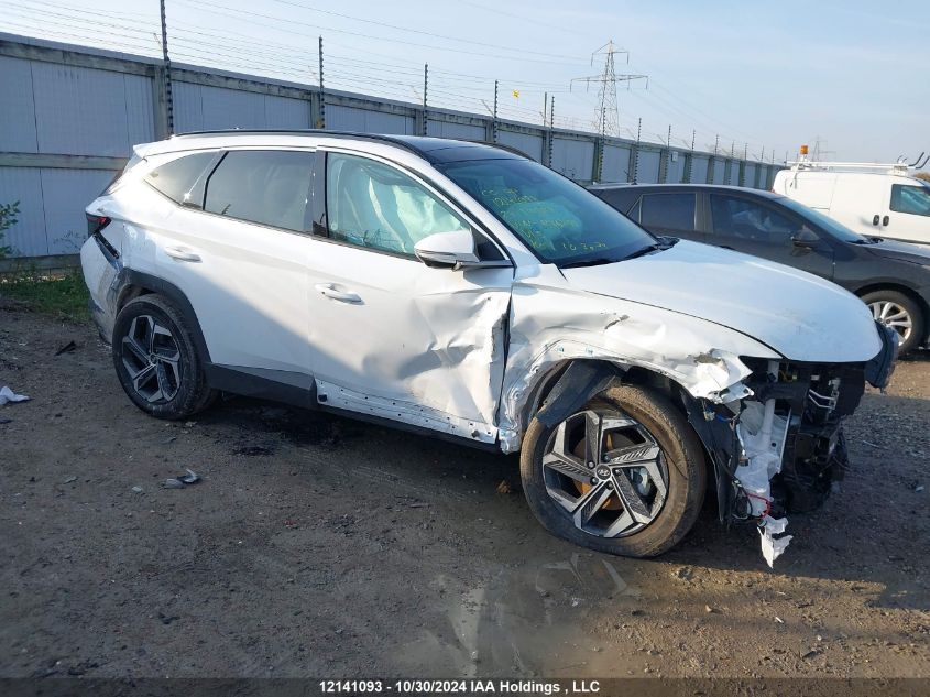 2024 Hyundai Tucson Ultimate Awd VIN: KM8JCCD10RU246791 Lot: 12141093