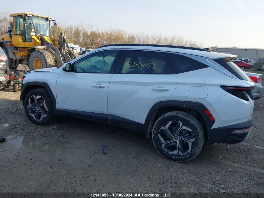 2024 Hyundai Tucson Ultimate Awd VIN: KM8JCCD10RU246791 Lot: 12141093