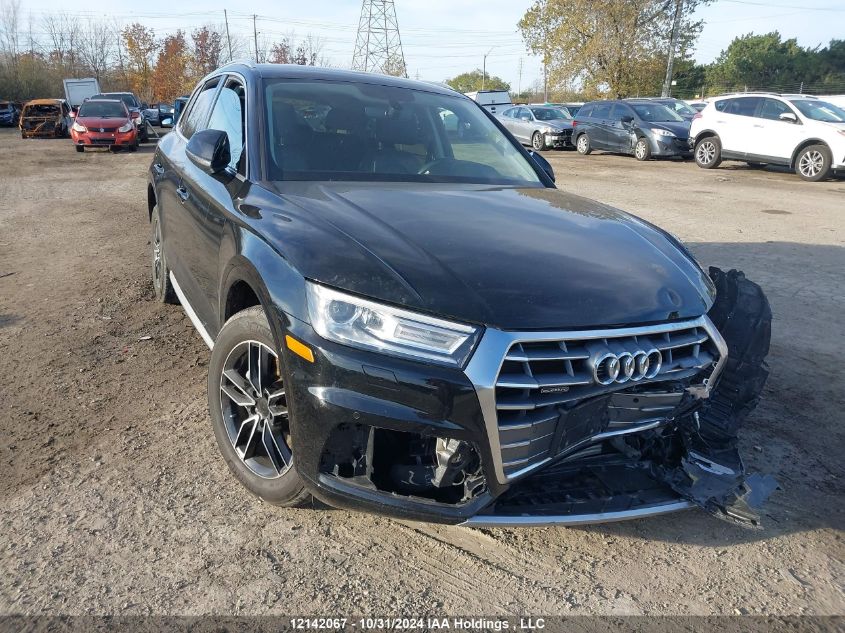 2019 Audi Q5 VIN: WA1ANAFY4K2069493 Lot: 12142067