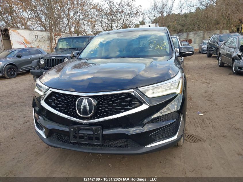 2020 Acura Rdx VIN: 5J8TC2H36LL804242 Lot: 12142189