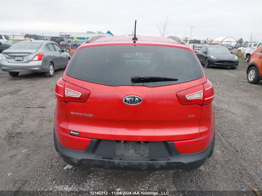 2011 Kia Sportage VIN: KNDPCCA28B7018411 Lot: 12142212