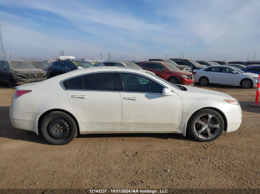 2011 Acura Tl VIN: 19UUA9F58BA800145 Lot: 12142237