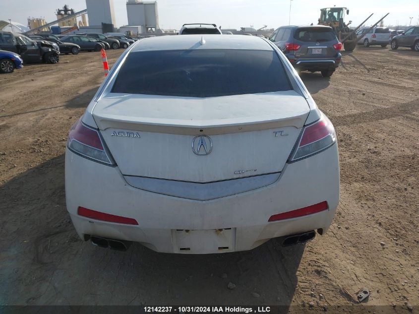 2011 Acura Tl VIN: 19UUA9F58BA800145 Lot: 12142237