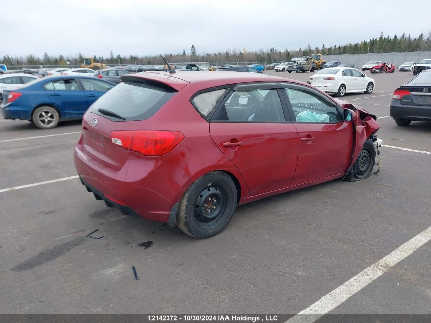 2011 Kia Forte 5-Door VIN: KNAFT5A20B5372441 Lot: 12142372