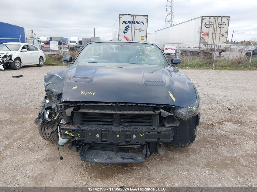 2019 Ford Mustang Ecoboost Premium VIN: 1FATP8UH3K5179766 Lot: 12142399