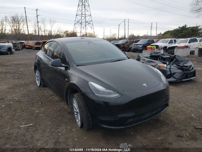 2024 Tesla Model Y VIN: 7SAYGDED5RF991229 Lot: 12142455