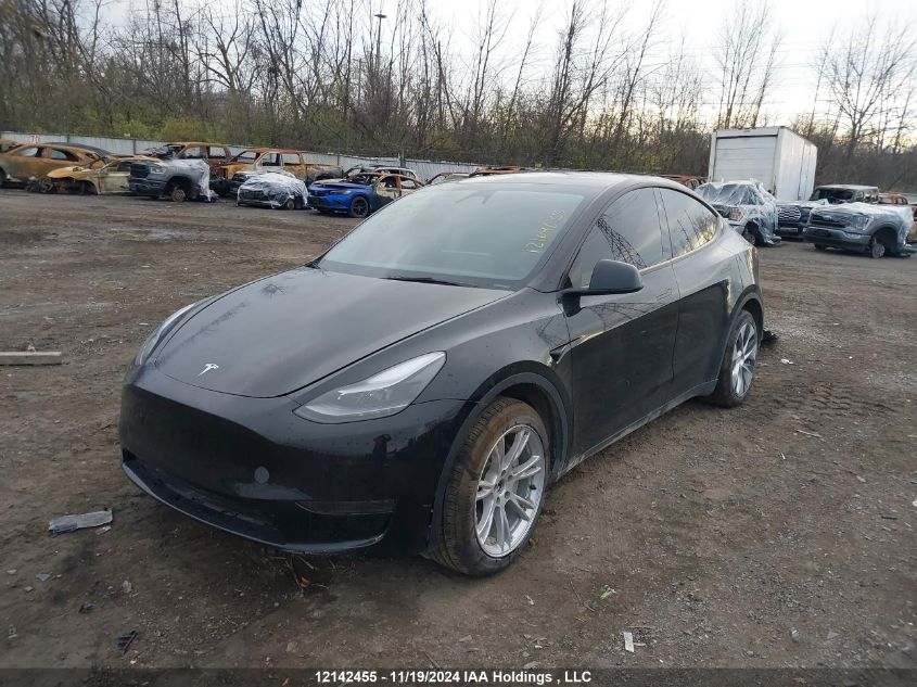 2024 Tesla Model Y VIN: 7SAYGDED5RF991229 Lot: 12142455