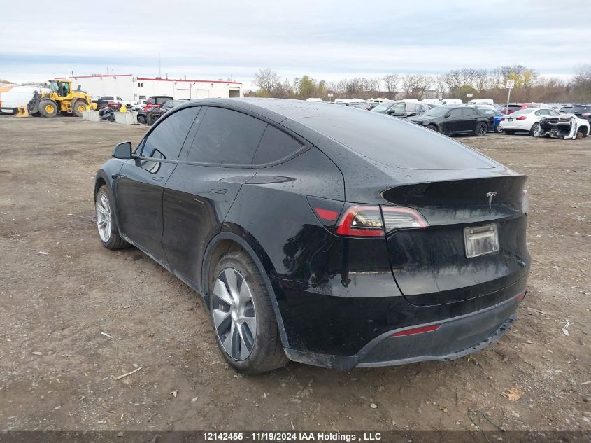 2024 Tesla Model Y VIN: 7SAYGDED5RF991229 Lot: 12142455