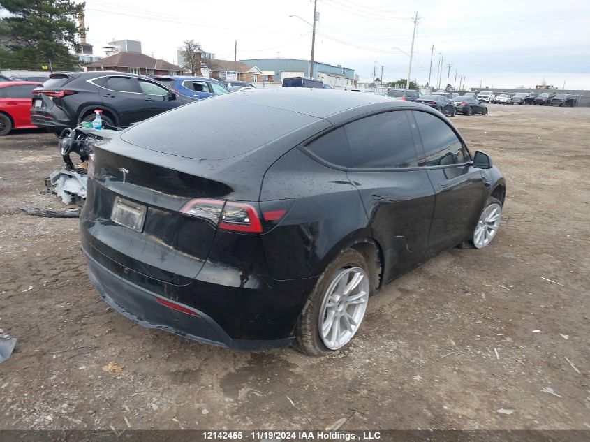 2024 Tesla Model Y VIN: 7SAYGDED5RF991229 Lot: 12142455