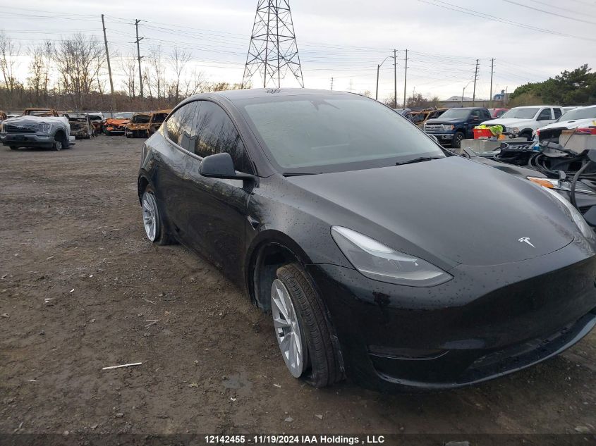 2024 Tesla Model Y VIN: 7SAYGDED5RF991229 Lot: 12142455