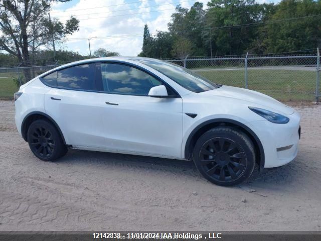 2021 Tesla Model Y VIN: 5YJYGDEE3MF080119 Lot: 12142838