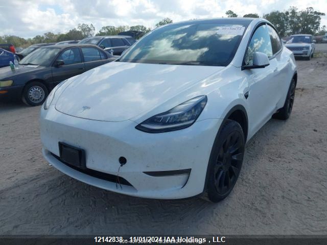 2021 Tesla Model Y VIN: 5YJYGDEE3MF080119 Lot: 12142838