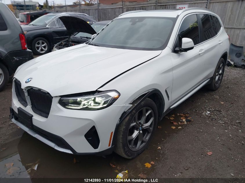 2022 BMW X3 VIN: 5UX53DP04N9L07926 Lot: 12142893