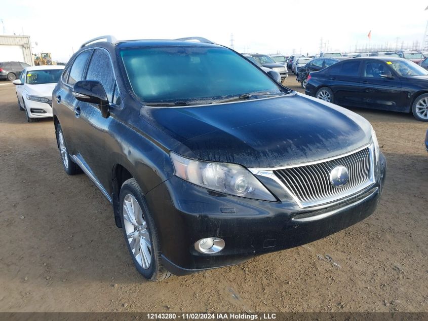 2010 Lexus Rx