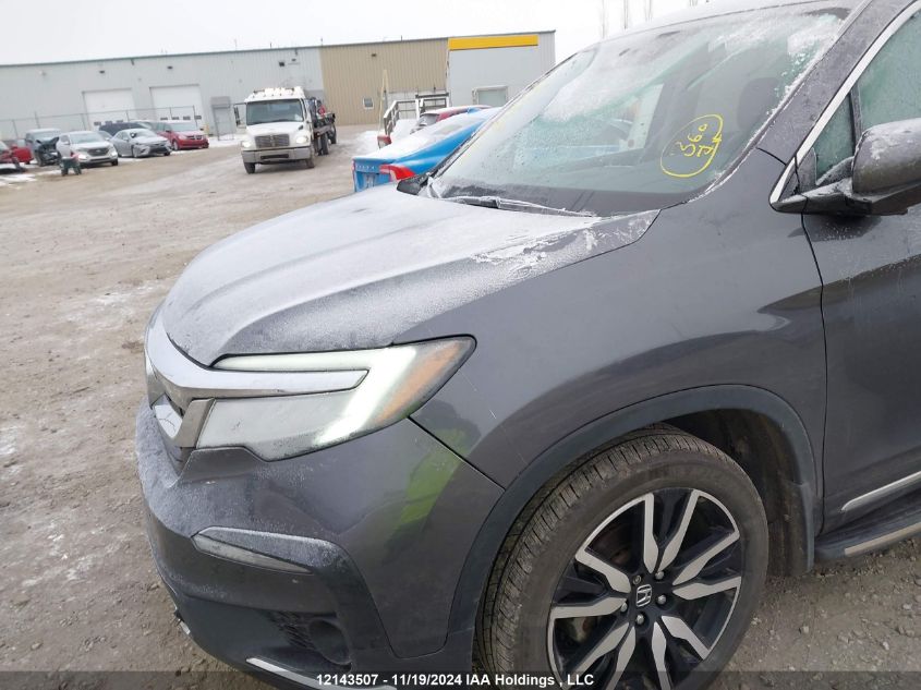 2019 Honda Pilot VIN: 5FNYF6H62KB507032 Lot: 12143507