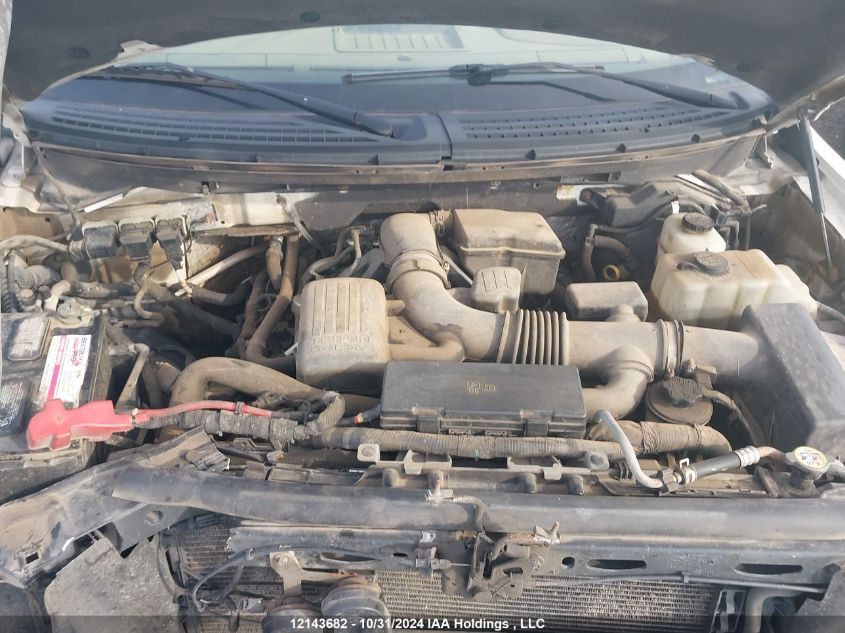 2010 Ford F150 Supercrew VIN: 1FTFW1EV7AFA37385 Lot: 12143682