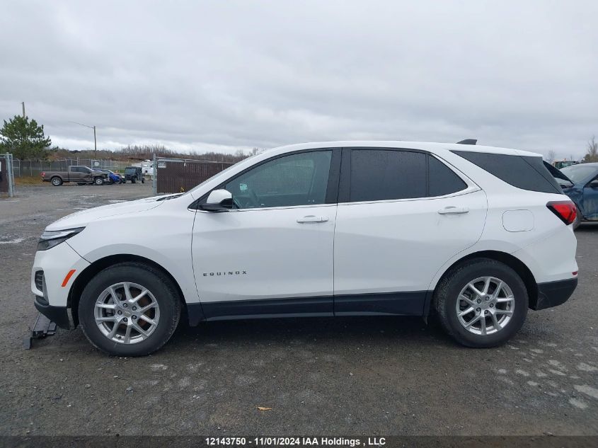 2022 Chevrolet Equinox VIN: 3GNAXUEV3NL116175 Lot: 12143750