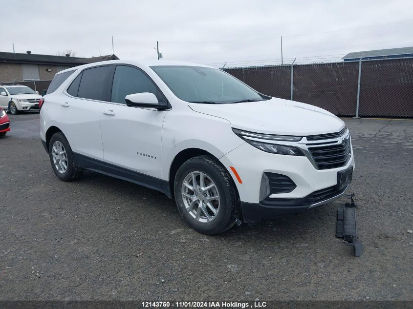 2022 Chevrolet Equinox VIN: 3GNAXUEV3NL116175 Lot: 12143750