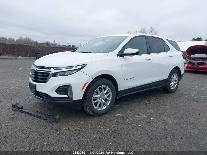 2022 Chevrolet Equinox VIN: 3GNAXUEV3NL116175 Lot: 12143750