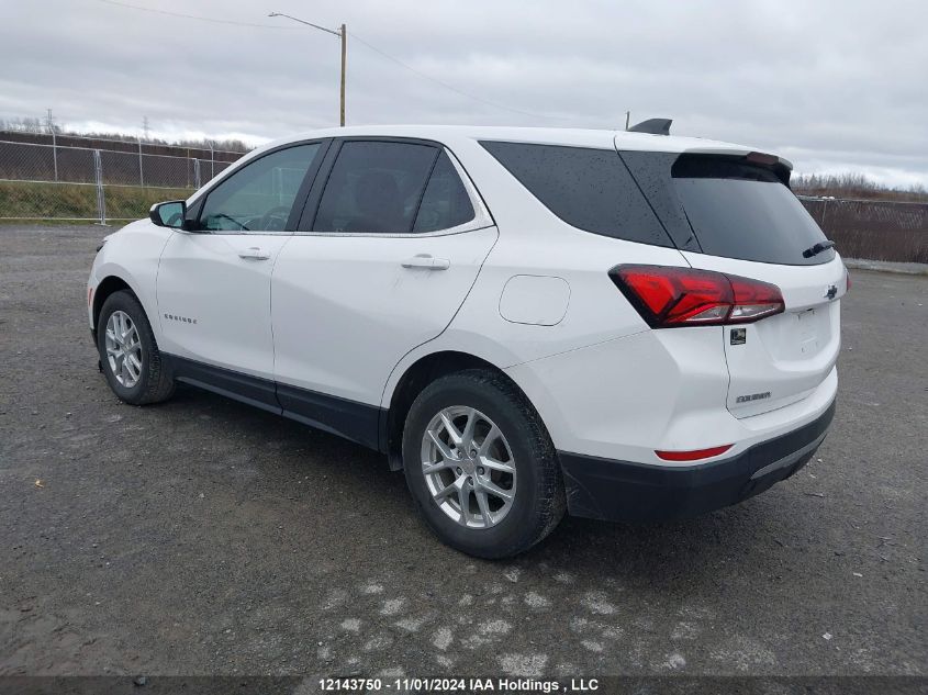 2022 Chevrolet Equinox VIN: 3GNAXUEV3NL116175 Lot: 12143750