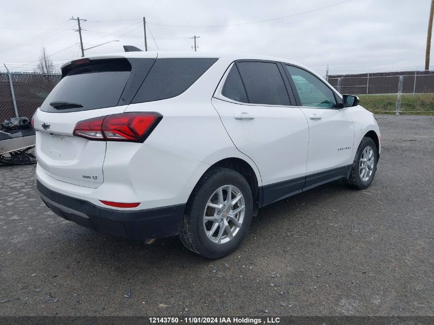 2022 Chevrolet Equinox VIN: 3GNAXUEV3NL116175 Lot: 12143750