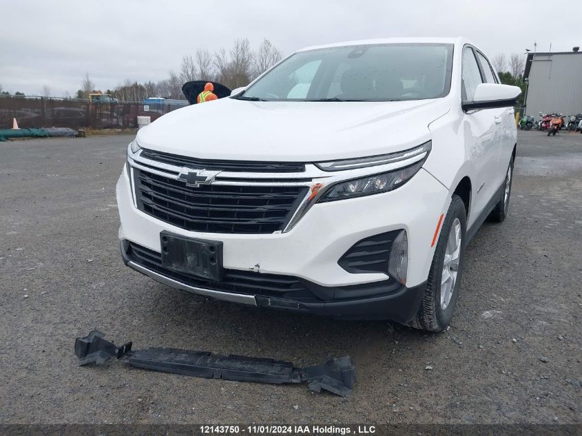 2022 Chevrolet Equinox VIN: 3GNAXUEV3NL116175 Lot: 12143750