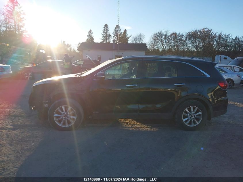 2019 Kia Sorento VIN: 5XYPGDA56KG608050 Lot: 12143988