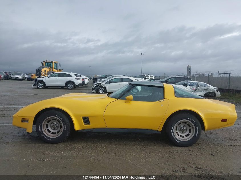 1981 Chevrolet Corvette VIN: 1G1AY8760BS419097 Lot: 12144454