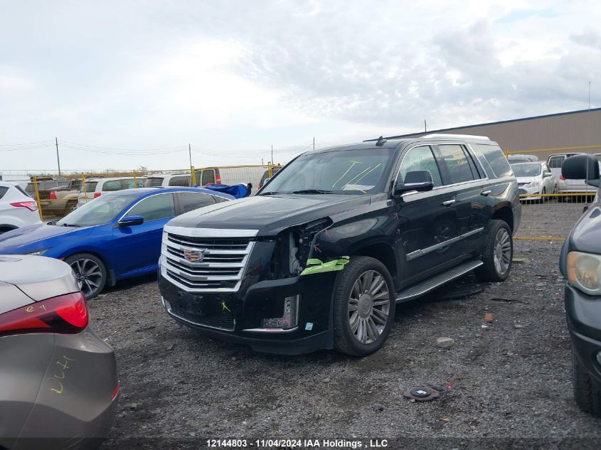 2015 Cadillac Escalade VIN: 1GYS4PKJ7FR627773 Lot: 12144803