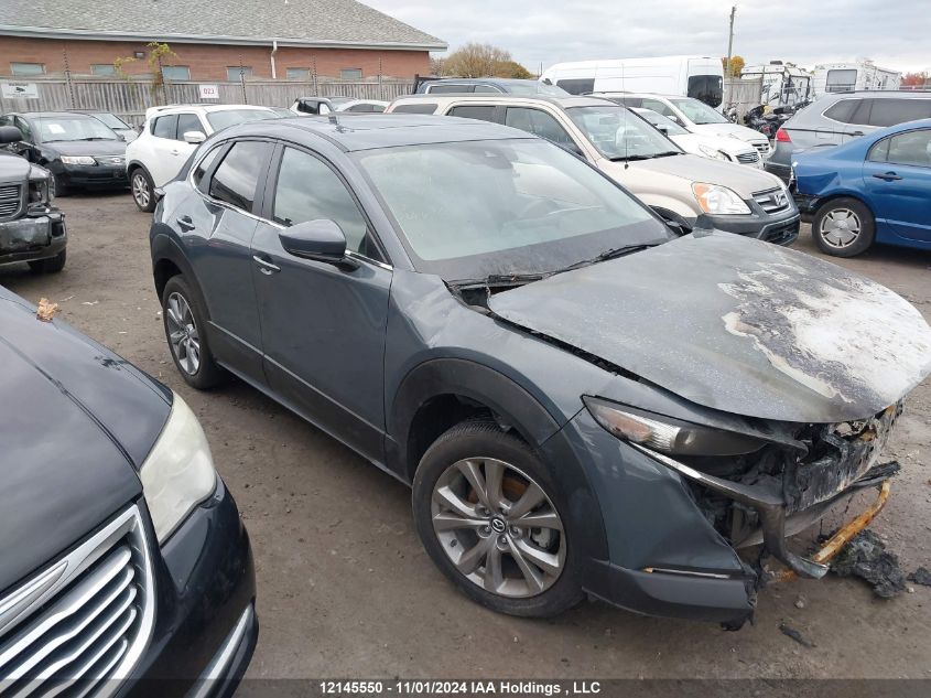 2023 Mazda Cx-30 VIN: 3MVDMBCM3PM582181 Lot: 12145550