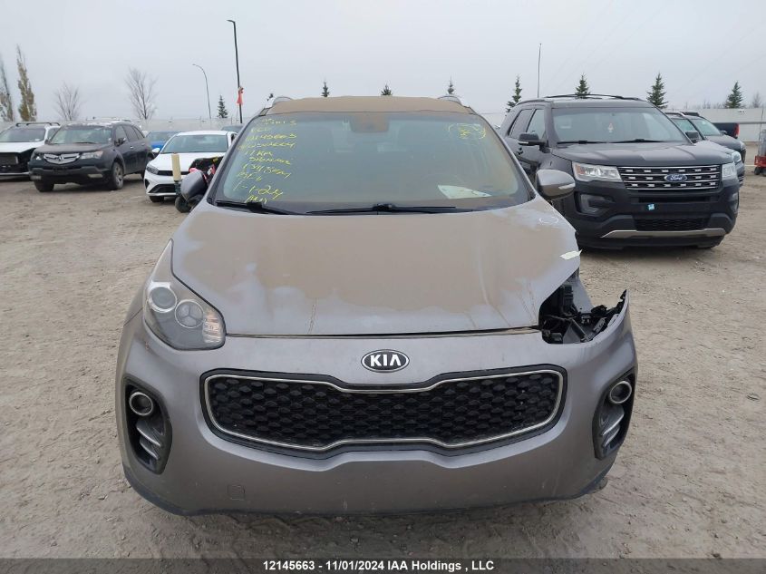 2017 Kia Sportage VIN: KNDPNCAC7H7252664 Lot: 12145663