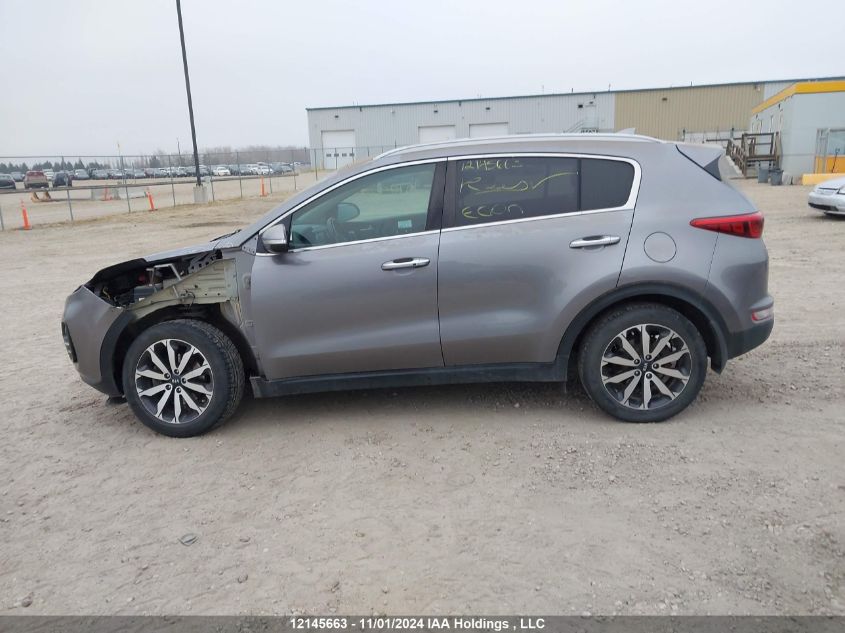 2017 Kia Sportage VIN: KNDPNCAC7H7252664 Lot: 12145663