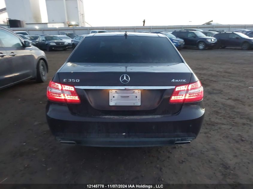 2010 Mercedes-Benz E-Class VIN: WDDHF8HB4AA187105 Lot: 12145778