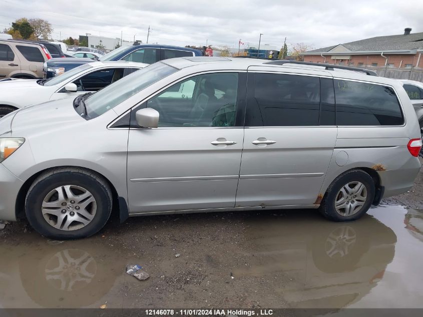 2005 Honda Odyssey VIN: 5FNRL38785B508243 Lot: 12146078