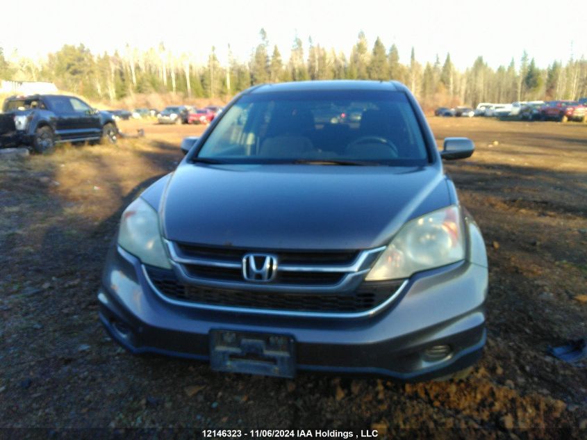 2010 Honda Cr-V VIN: 5J6RE4H53AL821135 Lot: 12146323