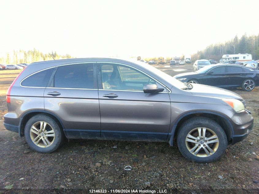 2010 Honda Cr-V VIN: 5J6RE4H53AL821135 Lot: 12146323