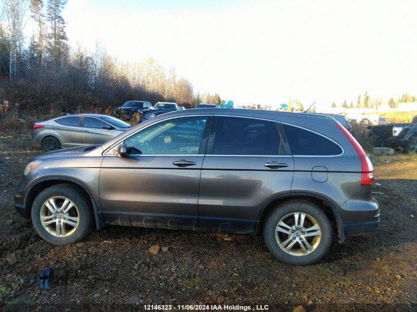 2010 Honda Cr-V VIN: 5J6RE4H53AL821135 Lot: 12146323