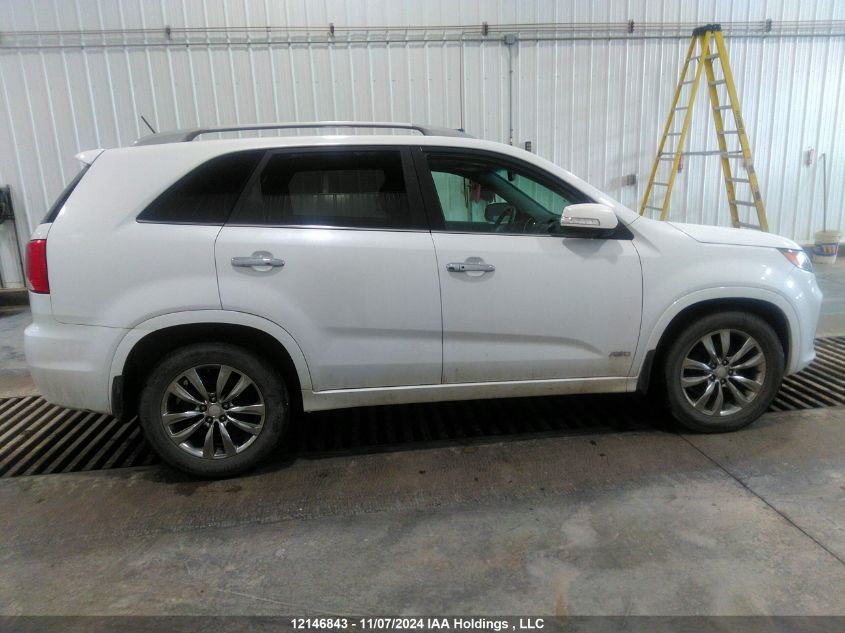 2013 Kia Sorento VIN: 5XYKWDA27DG316901 Lot: 12146843