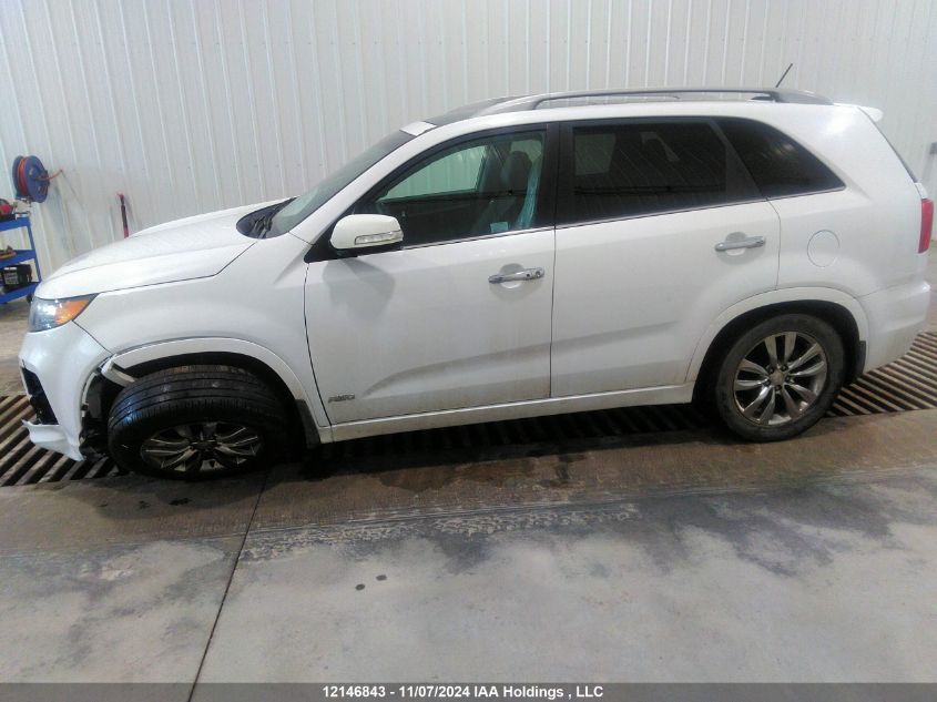 2013 Kia Sorento VIN: 5XYKWDA27DG316901 Lot: 12146843